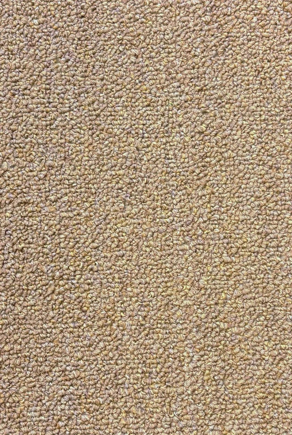 Schling Teppichsatz Teppich für Mercedes W123 Coupe Gummi Absatzschoner Beige.